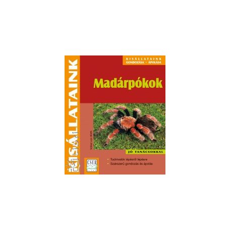 Kisállataink - Madárpókok