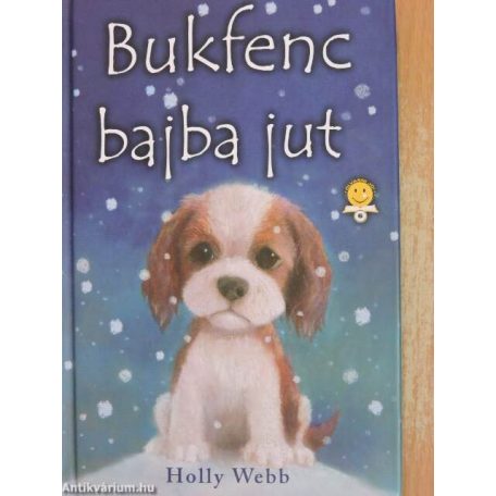 Bukfenc bajba jut