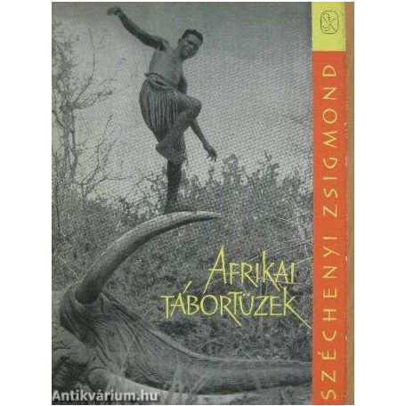 Afrikai tábortüzek
