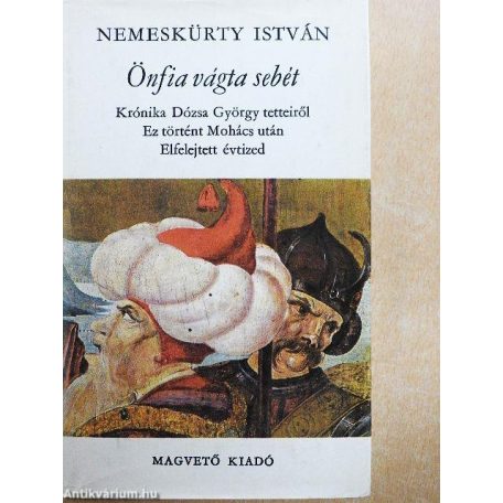 Békéscsaba és környéke 1:13000