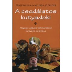 A csodálatos kutyadoki