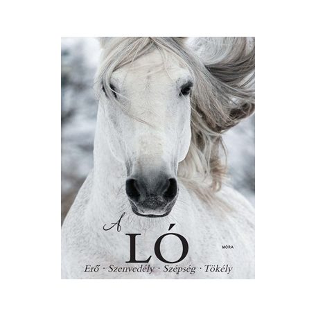 A ló - Erő, szenvedély, szépség, tökély