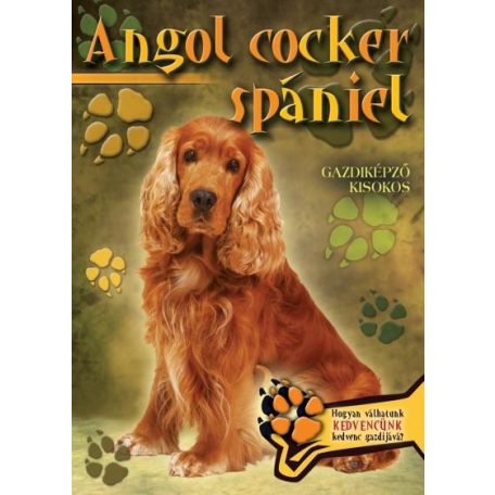 Angol cocker spániel- Gazdiképző kisokos