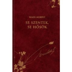 Se szentek, se hősök (bőrkötés) 17.