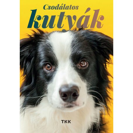 Csodálatos kutyák (régi borító)