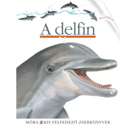 A delfin-Móra kis felfedező