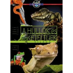 A hüllők és kétéltűek világa (A mi vilá)