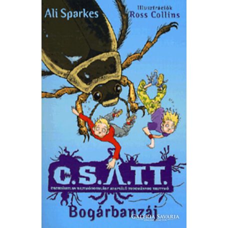 Bogárbazáj