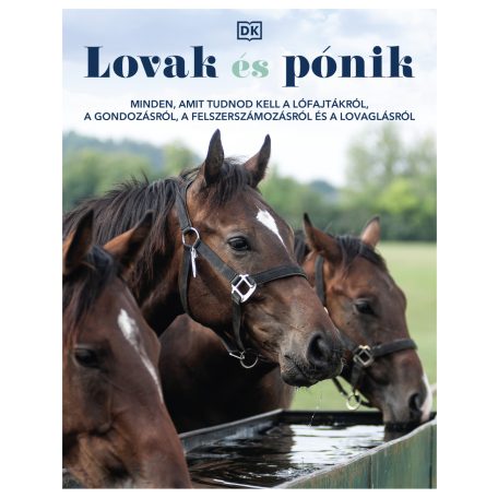 Lovak és pónik - Az erdőben