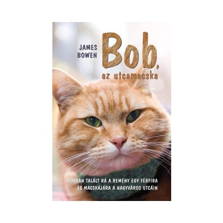 Bob, az utcamacska