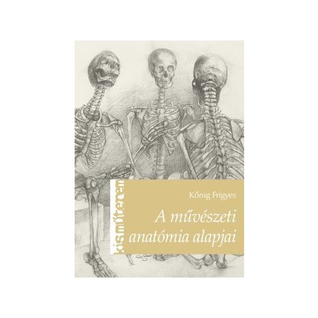 A művészeti anatómia alapjai