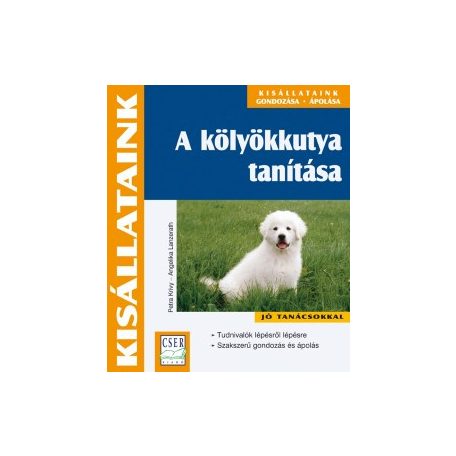 A kölyökkutya tanítása