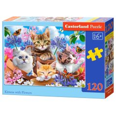 Castorland Puzzle 120 db - Cica kacsával