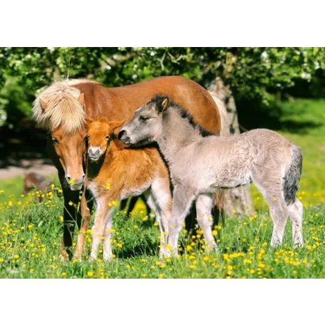 Castorland Puzzle 120 db - Ponies in the