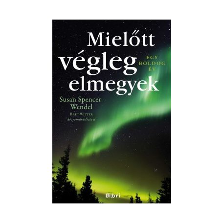 Mielőtt végleg elmegyek - Egy boldog év