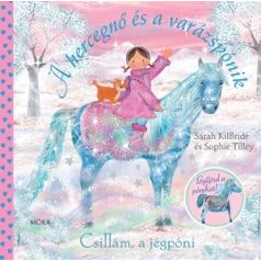 Csillám, a jégpóni -  A hercegnő és a va