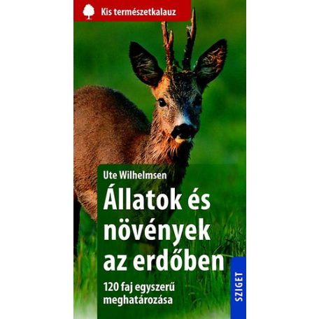 Állatok és növények az erdőben (FIX)