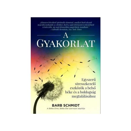 A gyakorlat