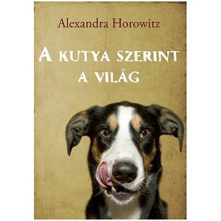 A kutya szerint a világ