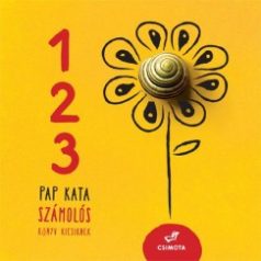 1,2,3 számolós könyv kicsiknek