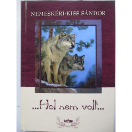 ...Hol nem volt...  (A)