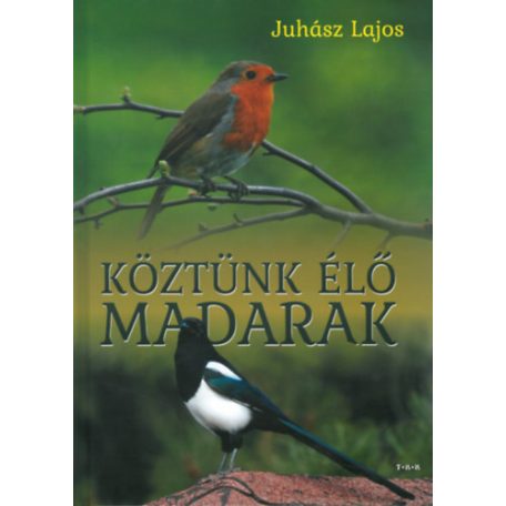 Köztünk élő madarak