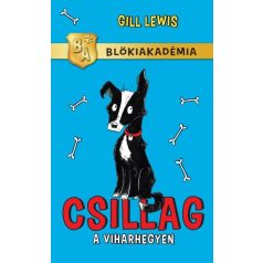 Csillag a Viharhegyen