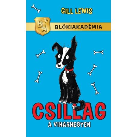Csillag a Viharhegyen