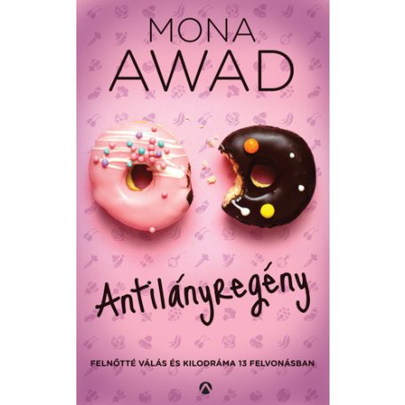 Antilányregény