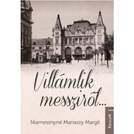 Villámlik messziről...