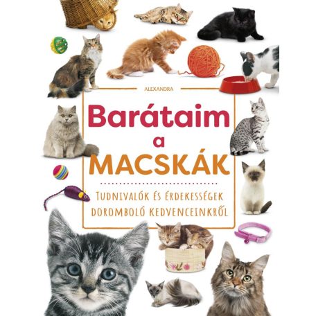 Barátom, a macska matricás