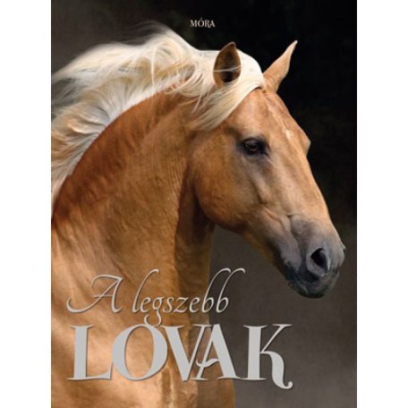 A legszebb lovak