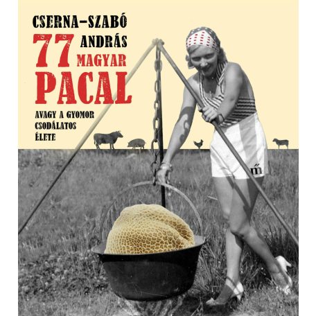 77 magyar pacal