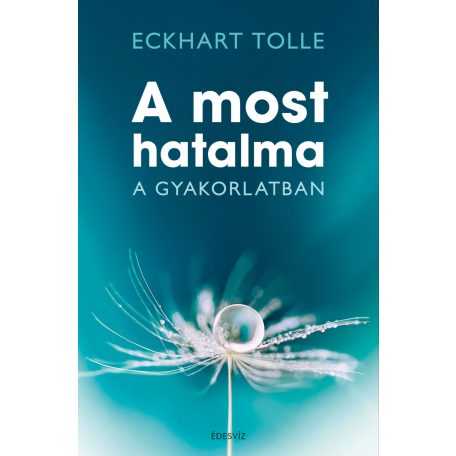 A most hatalma a gyakorlatban (2008)(FIX