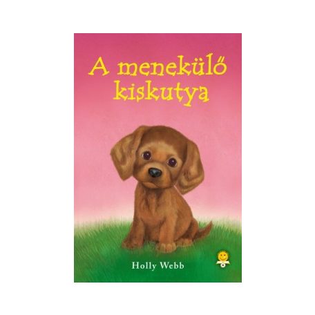 A menekülő kiskutya