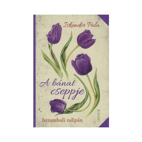 A bánat cseppje - Isztambuli tulipán