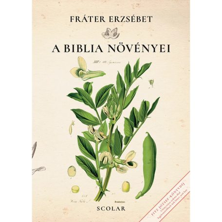A Biblia növényei