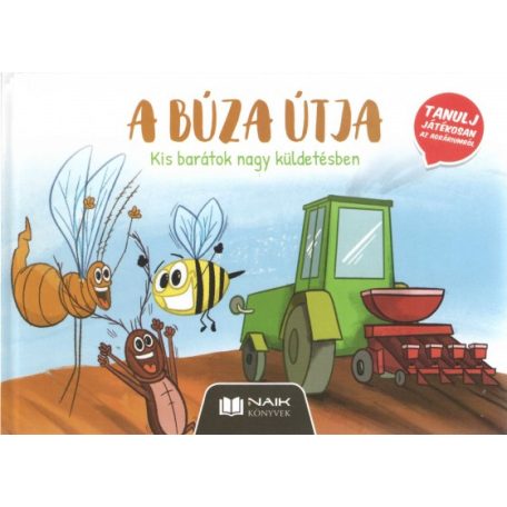 A búza útja