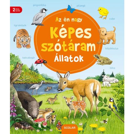 Az én nagy képes szótáram - Állatok
