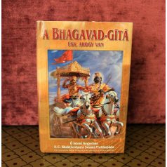Bhagavad-gítá (2017)