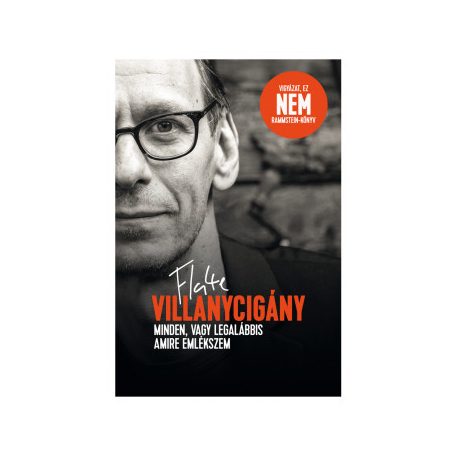 Villanycigány