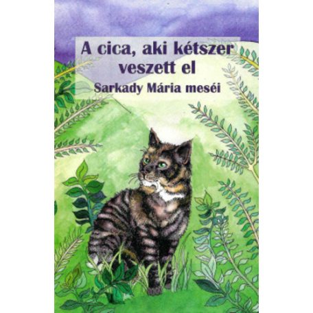 A cica, aki kétszer veszett el