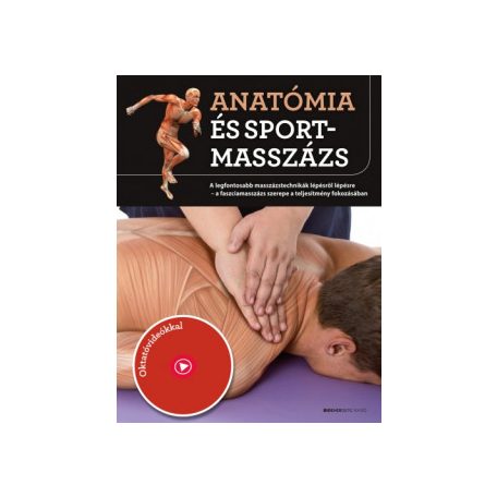 Anatómia és sportmasszázs