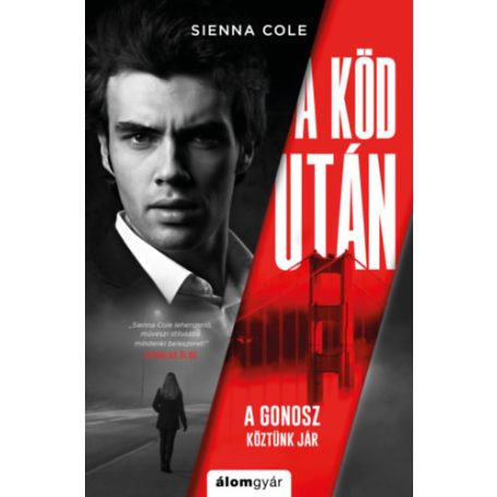A köd után