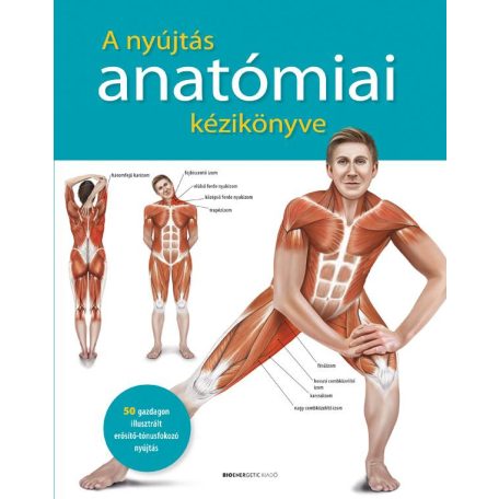 A nyújtás anatómiai kézikönyve - 50 gond