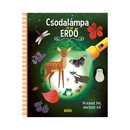 Csodalámpa és az erdő - Kutasd fel, derí