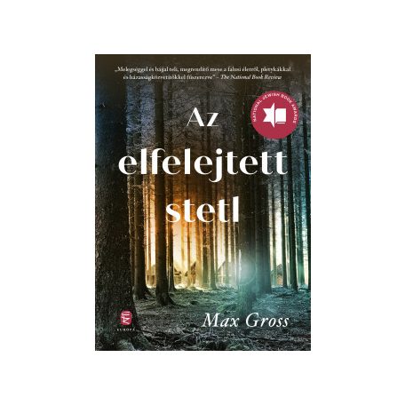 Az elfelejetett stetl