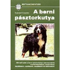 A berni pásztorkutya (A)