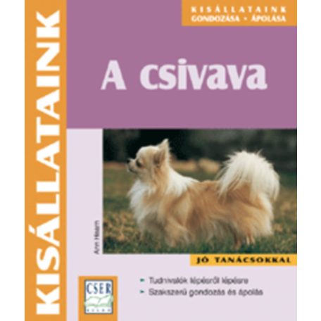 A csivava (A)