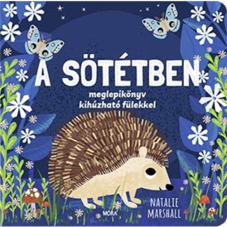 A sötétben - Meglepikönyv kihúzható fül